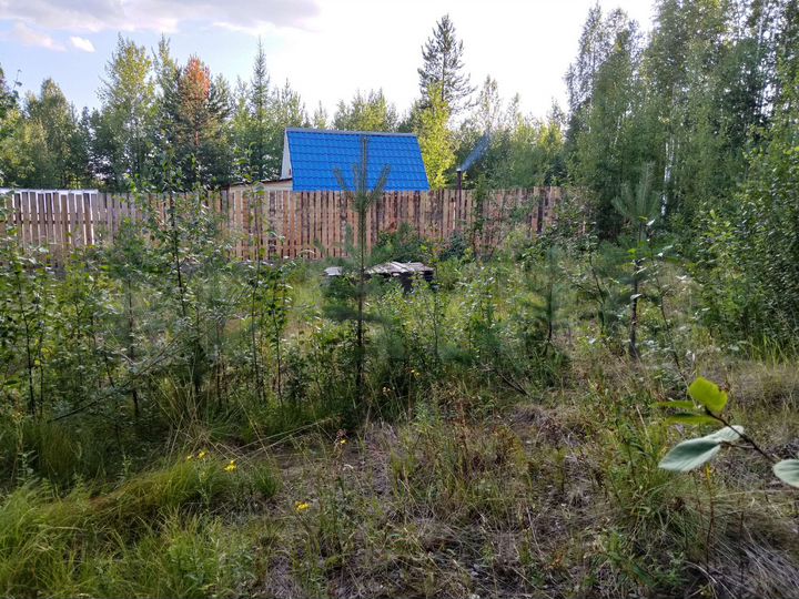Участок 9 сот. (СНТ, ДНП)