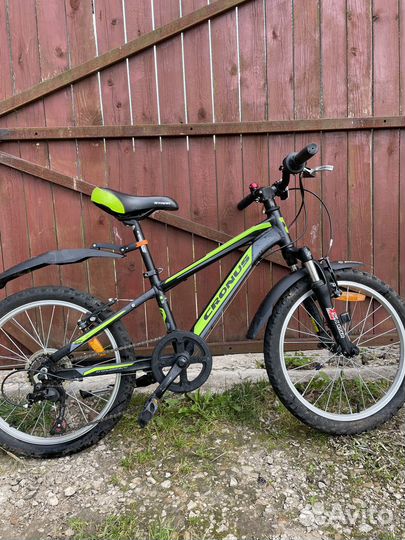 Детский велосипед Cronus Best Mate 20 Boy