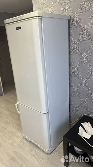 Холодильник Бирюса
