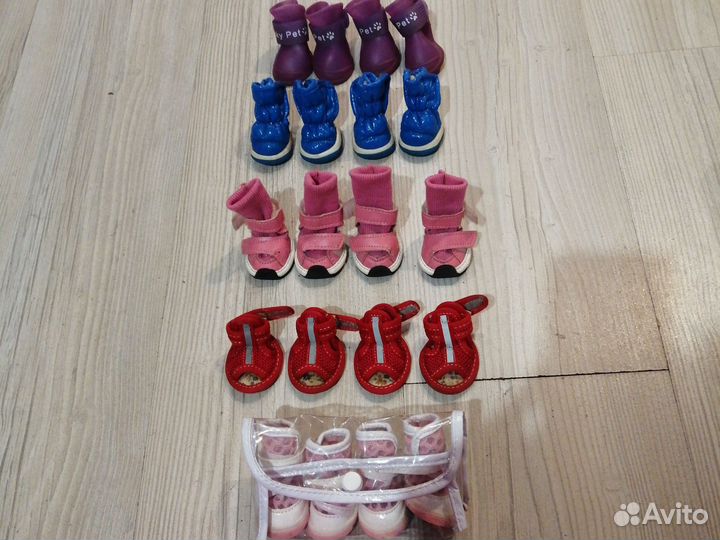 Обувь для маленьких собак