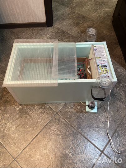 Инкубатор матрица дели