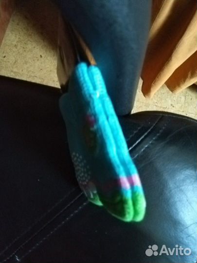 Носочки для вашего любимца