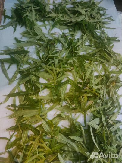 Иван чай, цветы иван чая, пижма