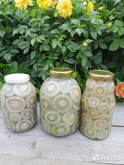 Продам соленые грузди
