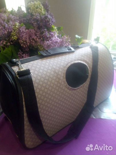 Переноска для кошек. Аренда