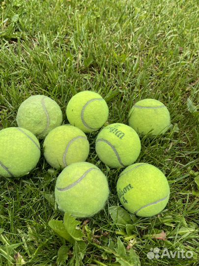 Теннисный мяч
