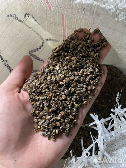 Жмых конопляный