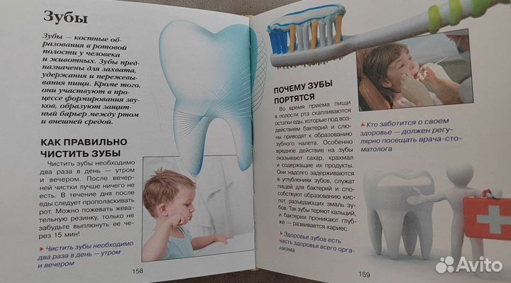 Что Зачем Почему Первая книга любознательных