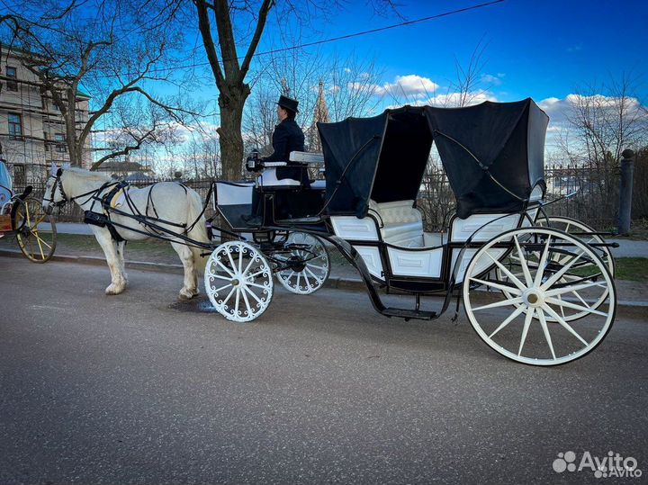 Прогулка в карете