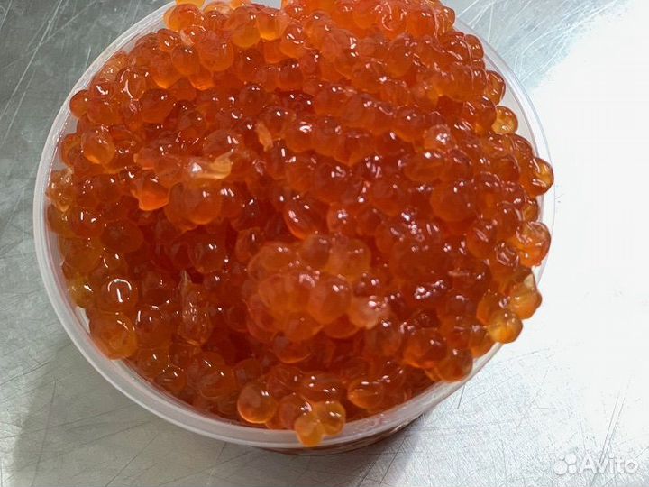 Красная икра улов 2023 года