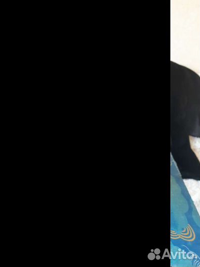 Мужская шапка