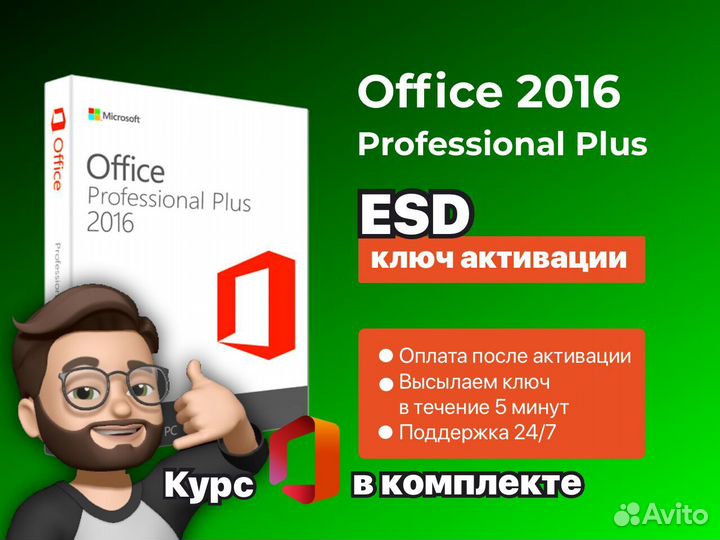 Microsoft office 2016/2013/2010 pro plus