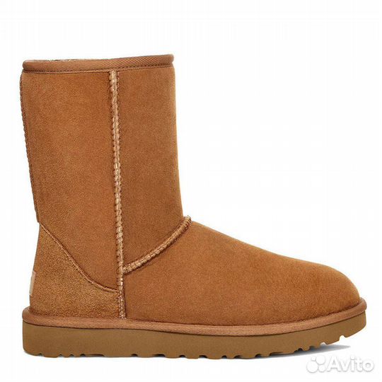 Ugg мужские, classic short