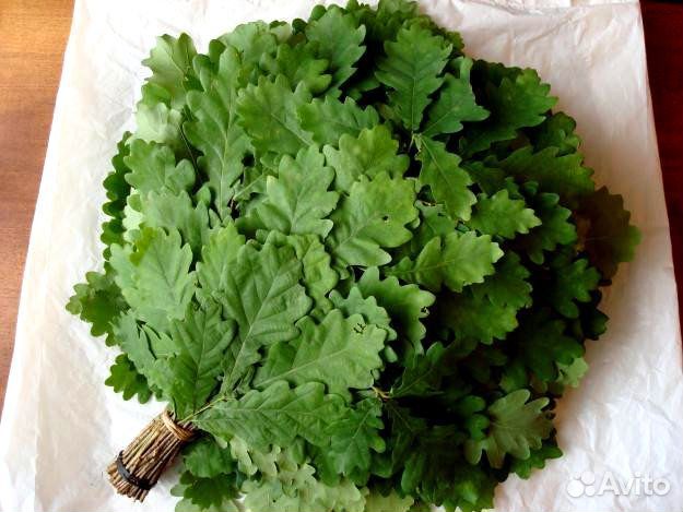 Веники для бани-пихта