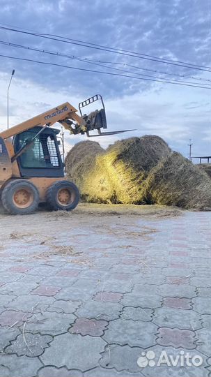 Услуги минипогрузчика