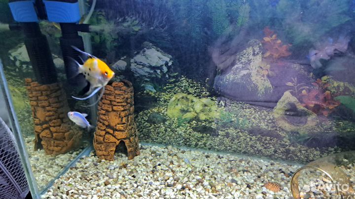 Аквариум