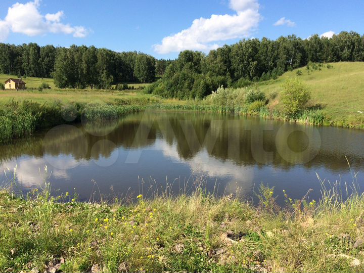 Участок 100 сот. (СНТ, ДНП)