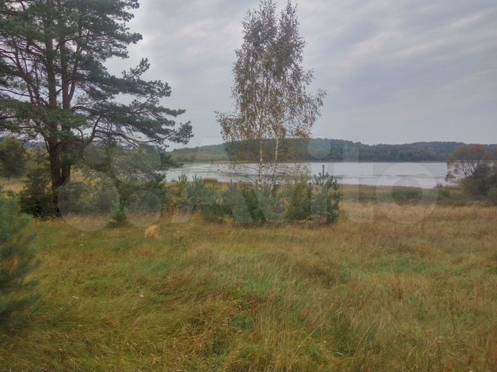 Участок 4 га (СНТ, ДНП)