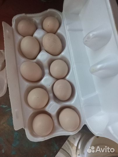 Китайские шелковые