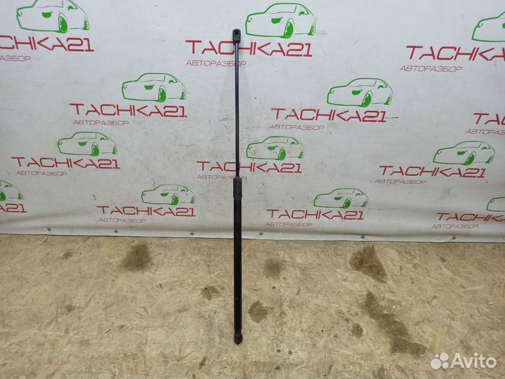 Амортизатор капота VW Tiguan 2 (2016+)