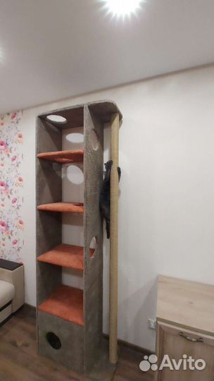 Домик для котов