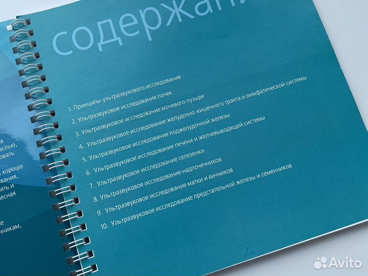 Ультразвуковая диагностика мелких животных