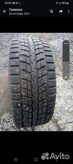 Dunlop SP Winter Ice 01 195/55 R15