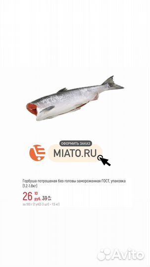 Горбуша потрошеная без головы, вылов 2023 г