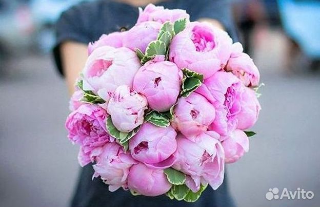 Пионы Розы Доставка