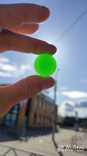 Редкий попрыгунчик