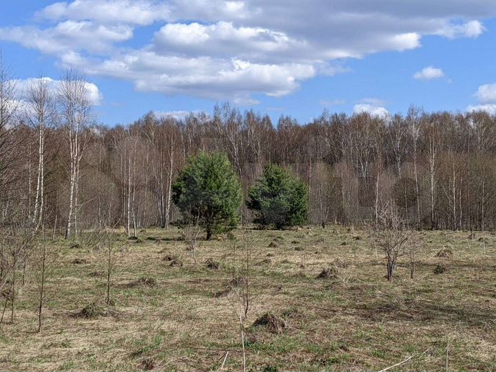 Участок 32 га (ИЖС)