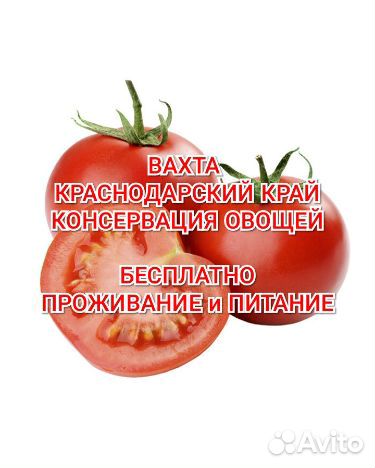 Упаковщики, Сортировщики вахтой с проживанием