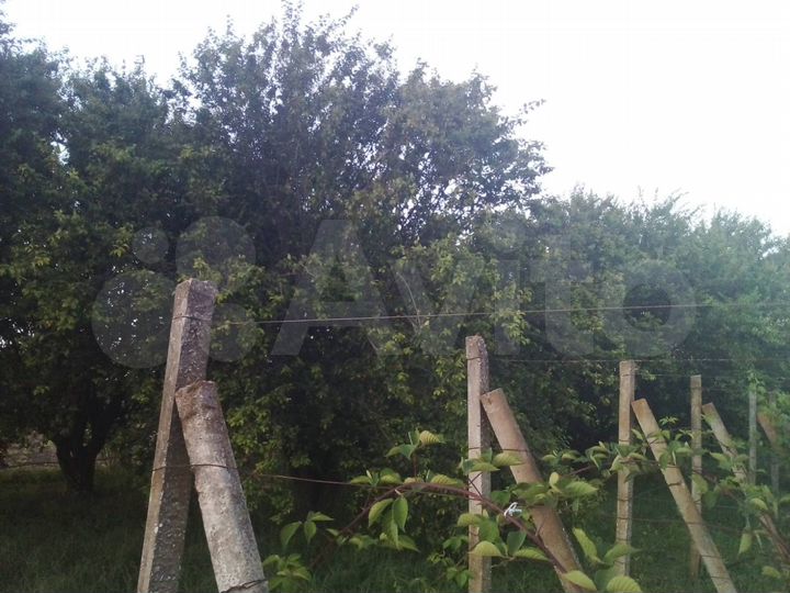 Участок 30 сот. (СНТ, ДНП)