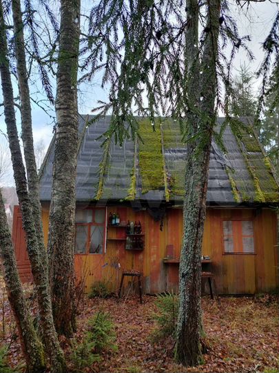 Участок 20 сот. (СНТ, ДНП)