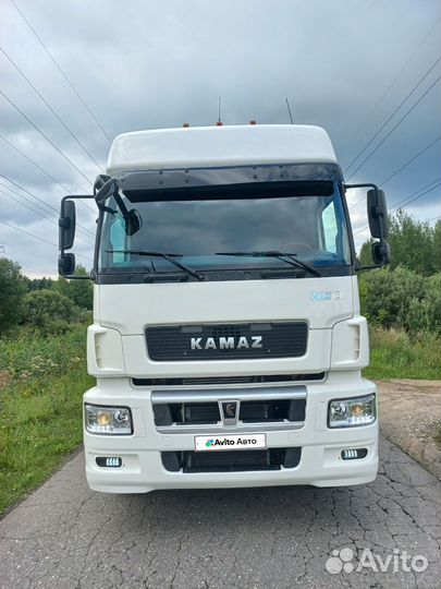 КАМАЗ 5490 NEO, 2019