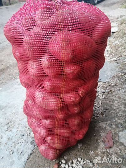 Продам картофель
