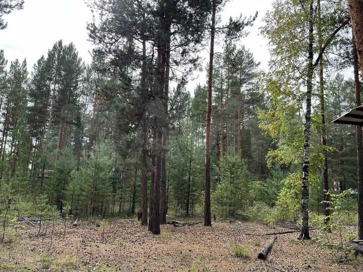 Участок 29 сот. (ИЖС)