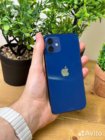 iPhone 12, 128 ГБ