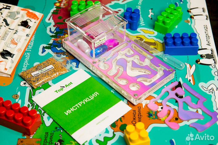 Муравьиная ферма / Формикарий