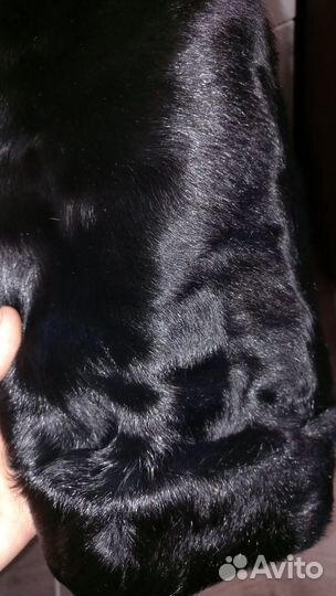 Шуба натуральная горный козел новая