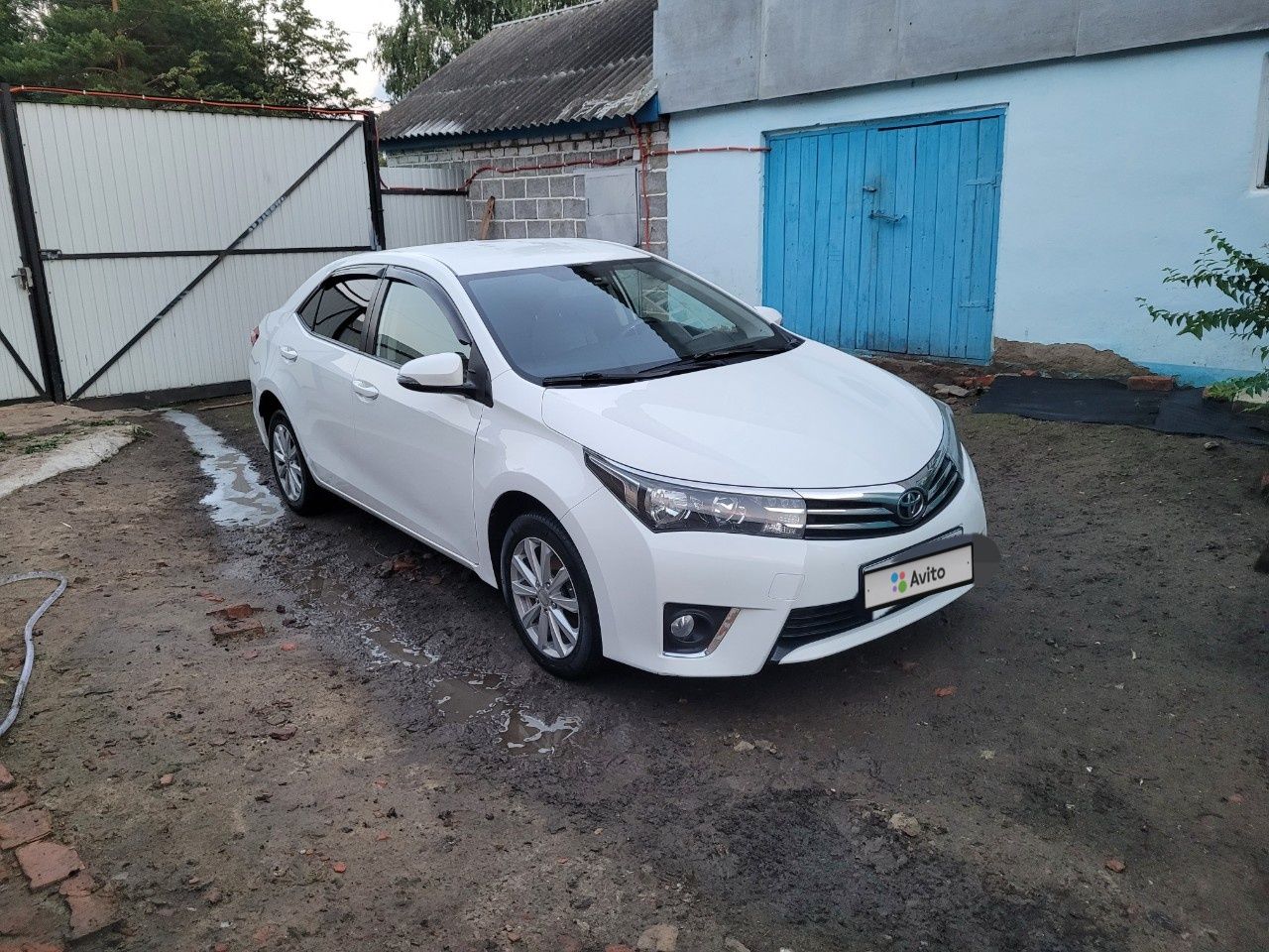 Toyota Corolla: фото владельца