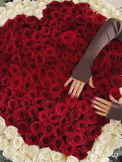 Большой букет из роз (101/201/301/501/1001)