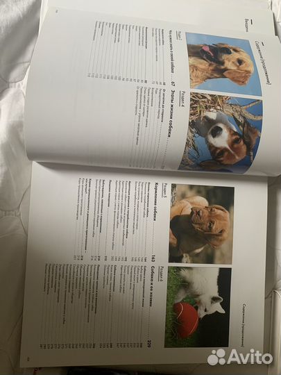 Энциклопедия Собаки