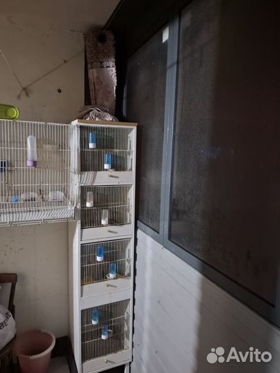 Клетка бокс для птиц