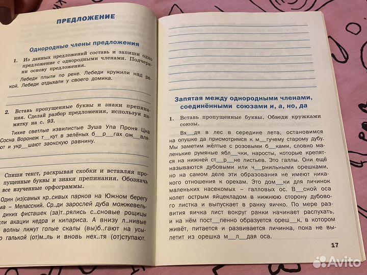 Пособие для школьников по русскому языку, 4 класс
