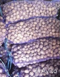 Картофель мелкий на корм скоту