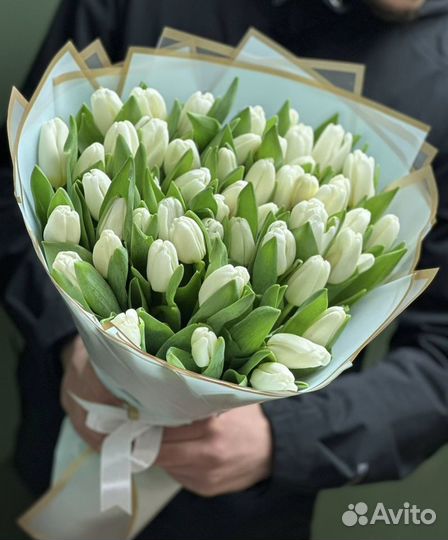101 тюльпаны / 51 Тюльпанов с доставкой