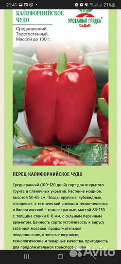 Рассада перцев, томатов, огурцов