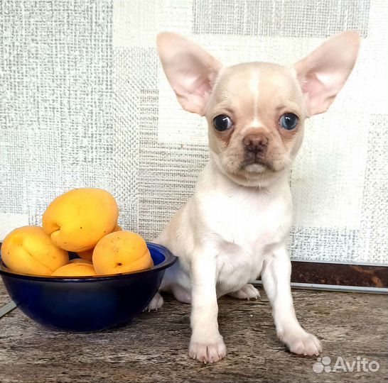 Эксклюзив. Кремушка с разными глазками