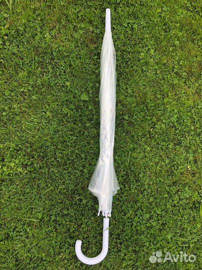 Аренда прозрачных зонтов